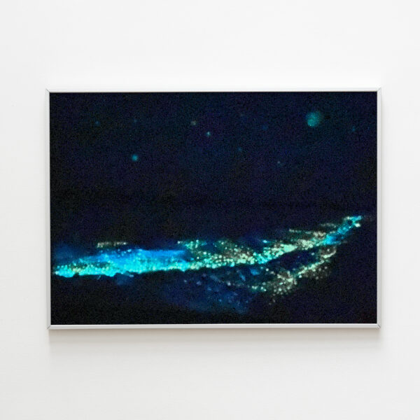 Bioluminiscencia-1-noche