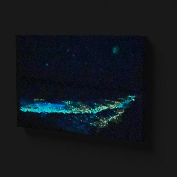 Bioluminiscencia-lateral-noche